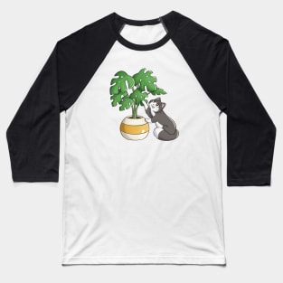 Cat Playing With Monstera Leaf Baseball T-Shirt